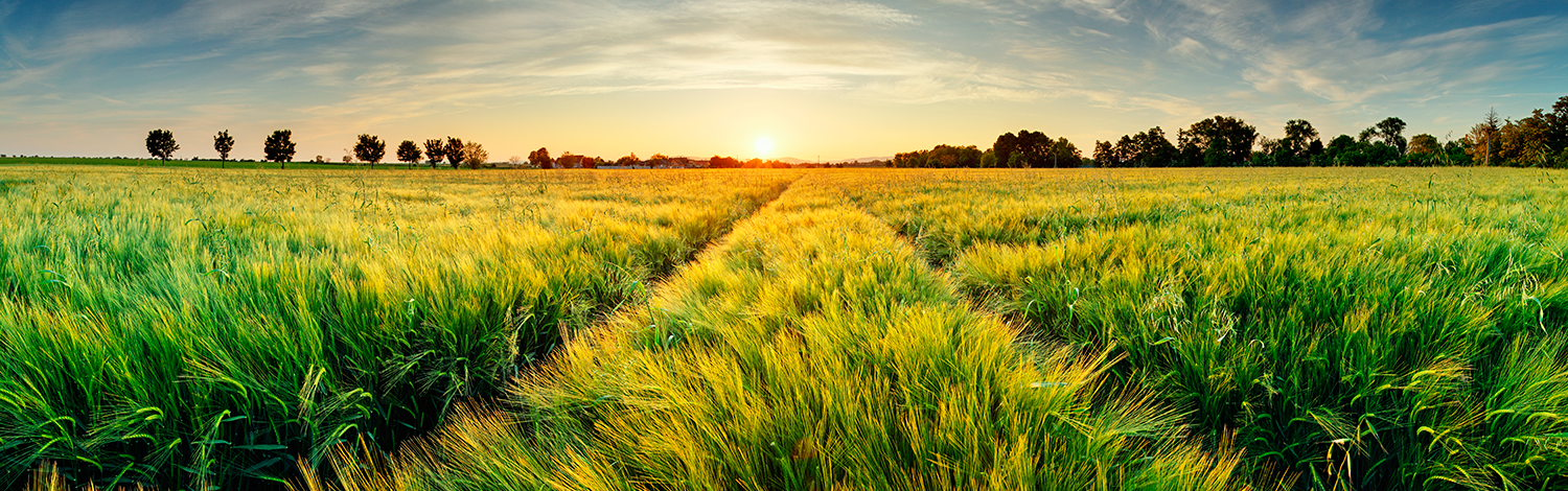 Medi Ambient Recuperem i valoritzem productes que, d'altra manera, serien considerats residus amb el perjudici mediambiental i de malbaratament de recursos que això suposa